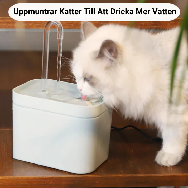 Vattenfontän För Katter